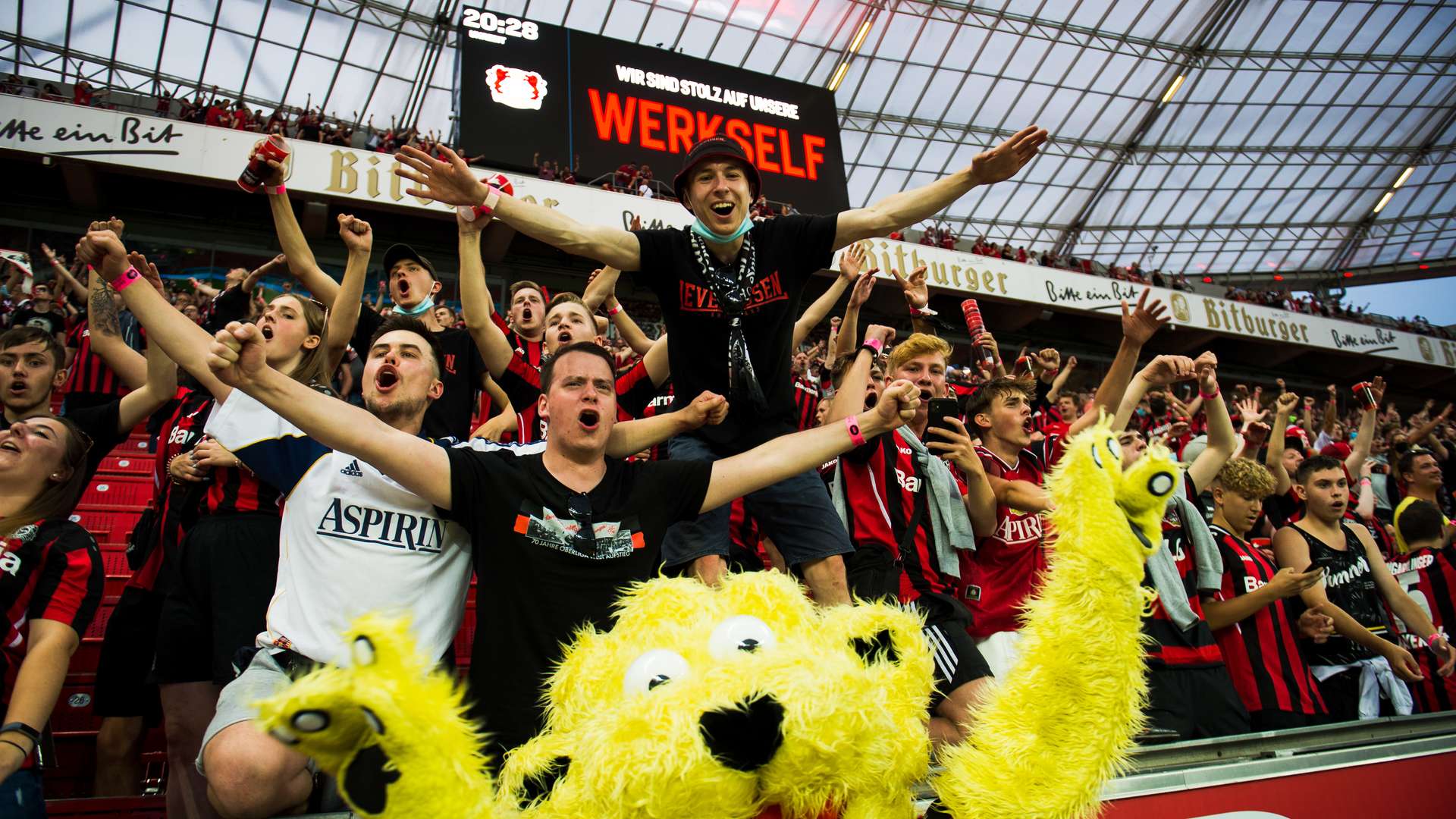 © Bayer 04 Leverkusen Fussball GmbH