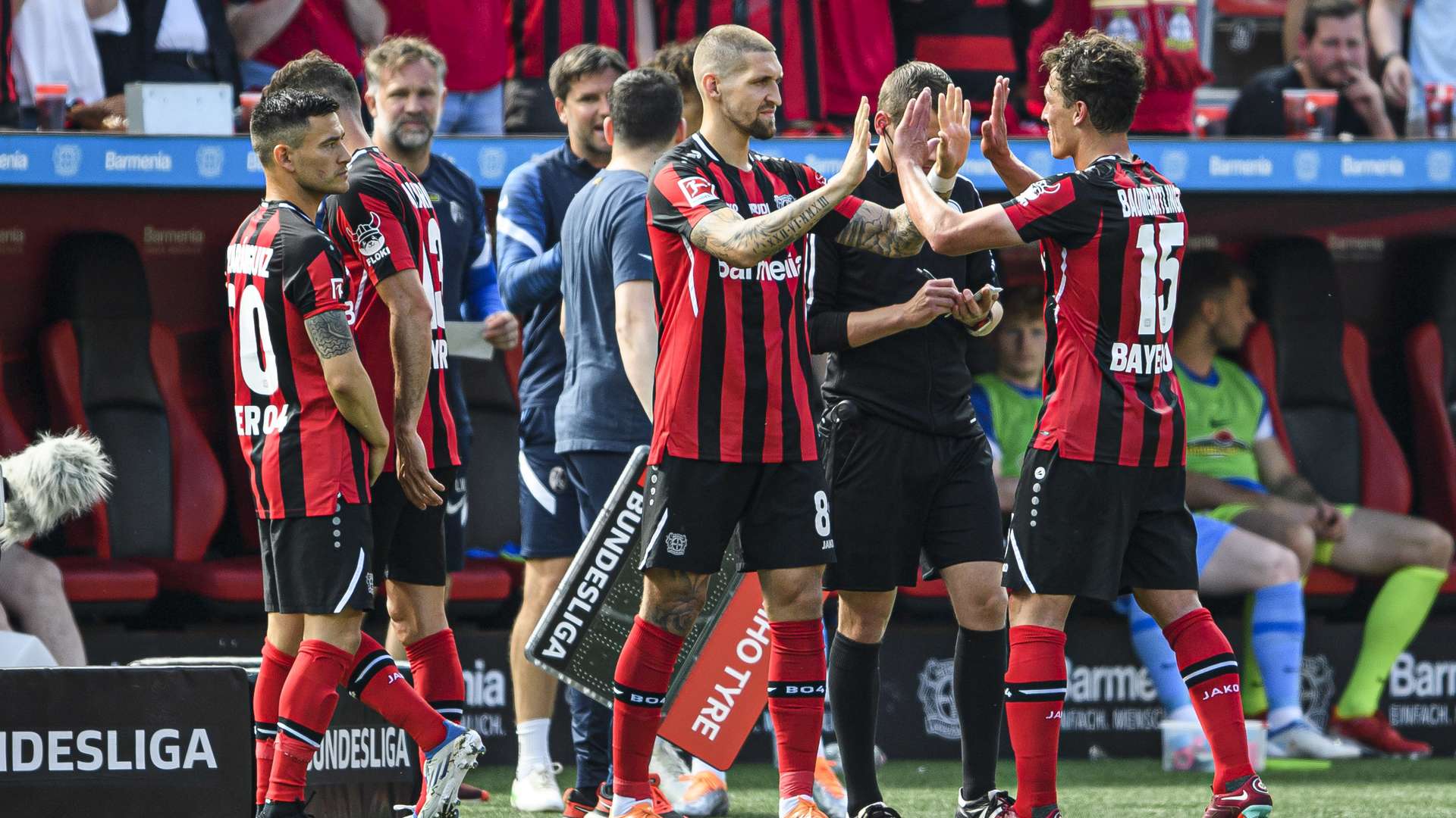 © Bayer 04 Leverkusen Fussball GmbH