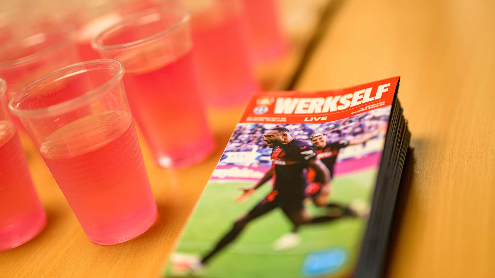 © Bayer 04 Leverkusen Fussball GmbH