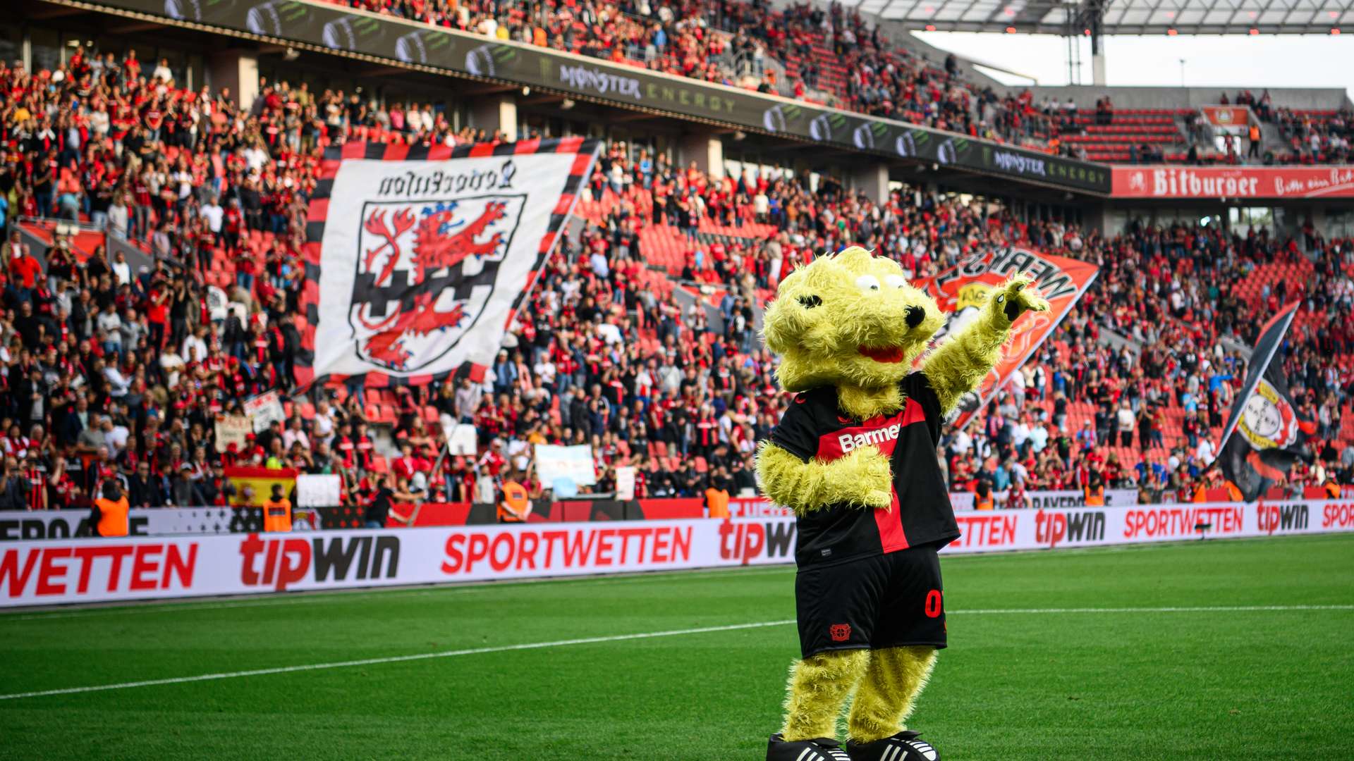 © Bayer 04 Leverkusen Fussball GmbH