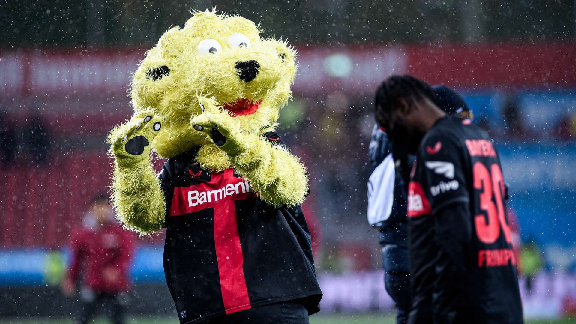 © Bayer 04 Leverkusen Fussball GmbH