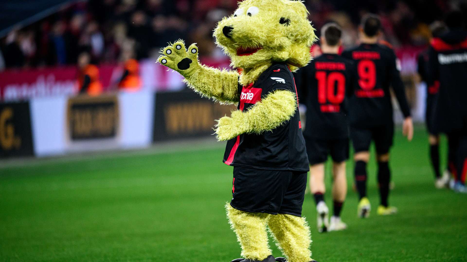 © Bayer 04 Leverkusen Fussball GmbH