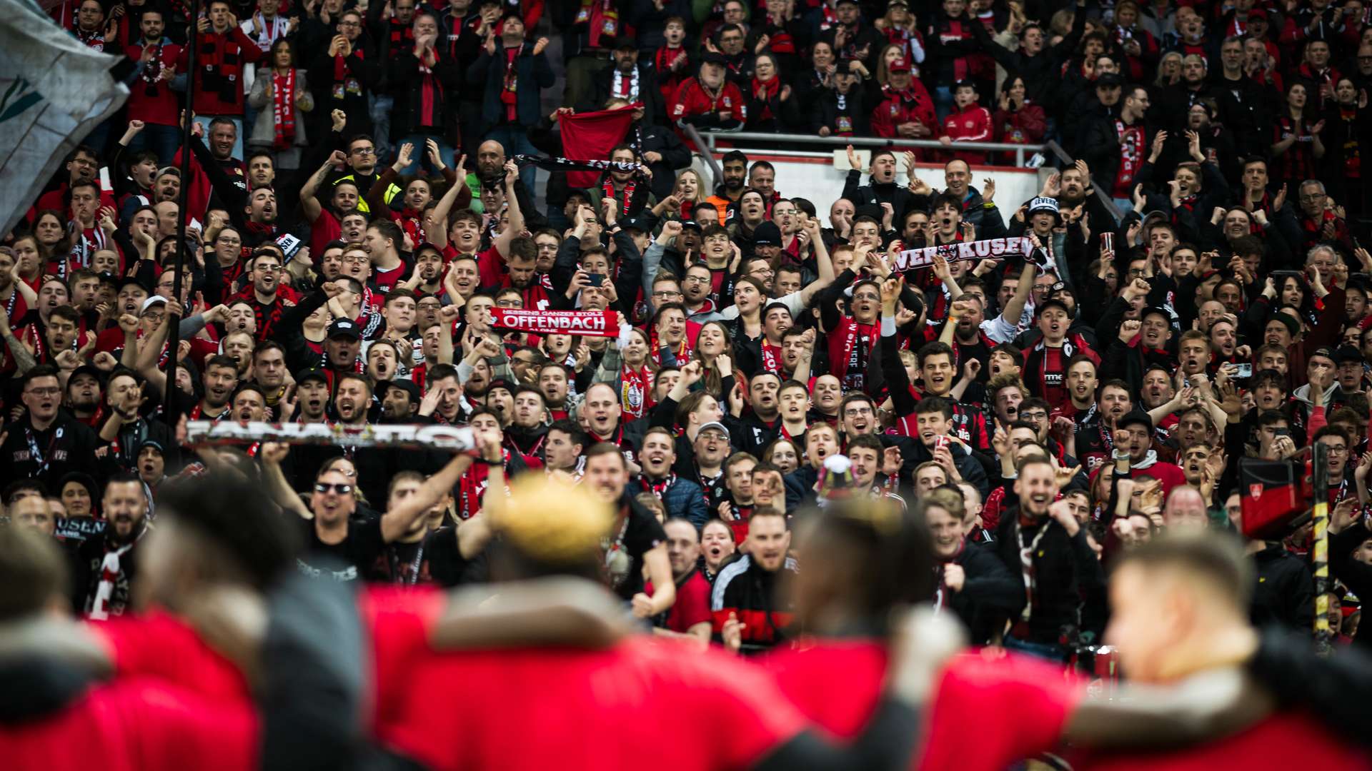 © Bayer 04 Leverkusen Fussball GmbH