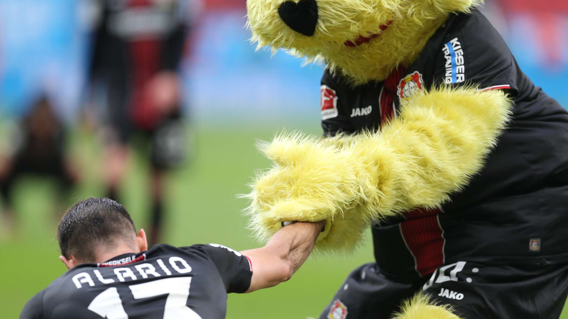 © Bayer 04 Leverkusen Fussball GmbH