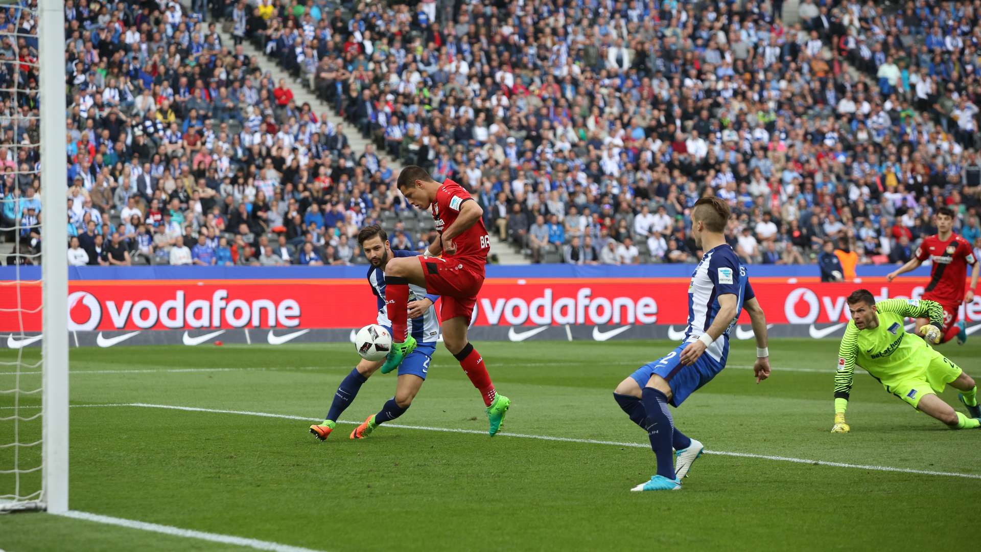 © Bayer 04 Leverkusen Fussball GmbH