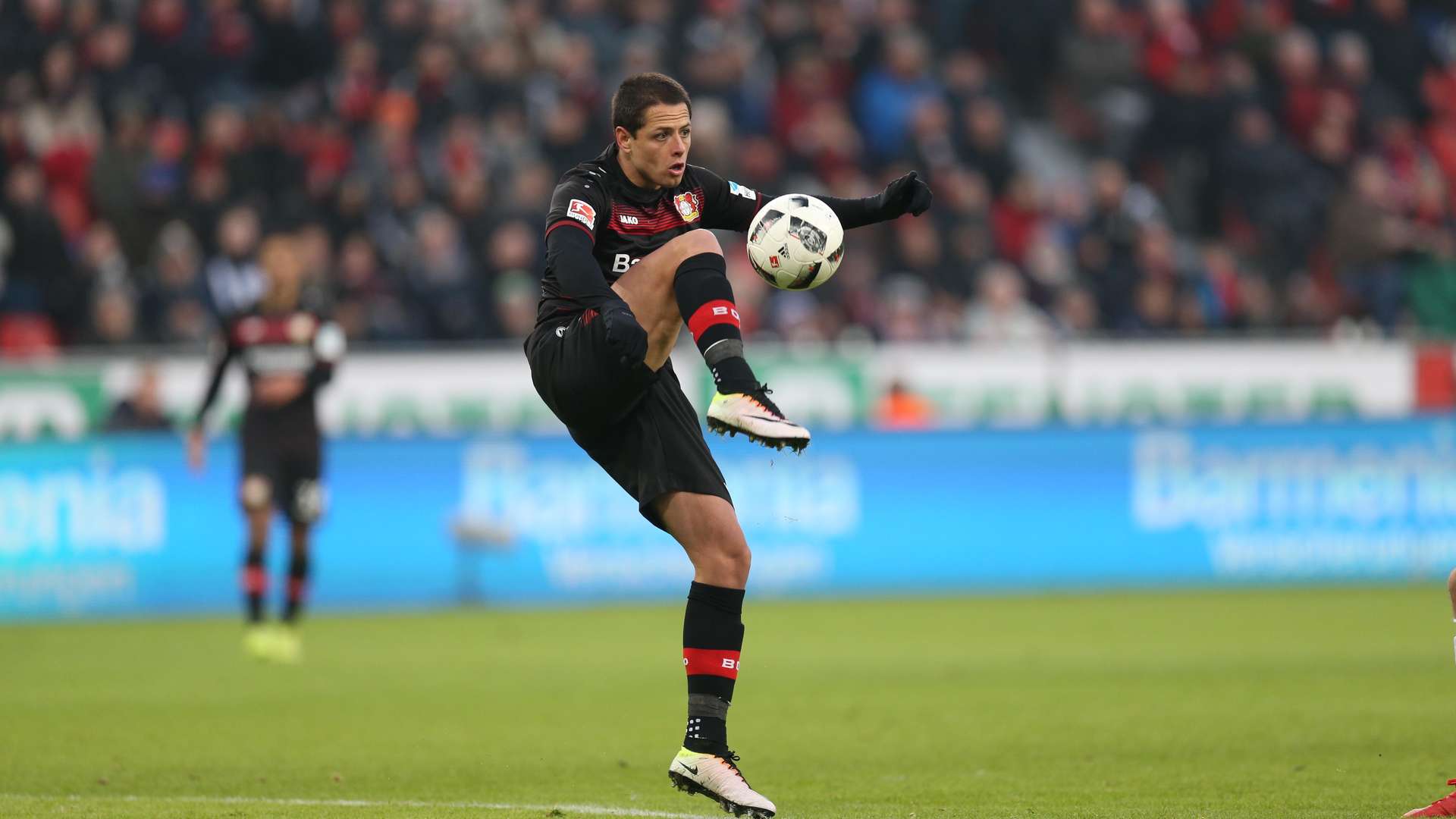 © Bayer 04 Leverkusen Fussball GmbH