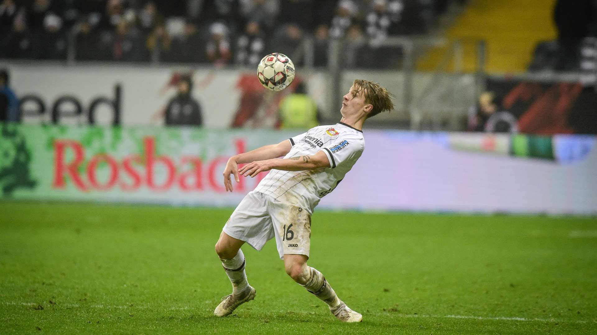 © Bayer 04 Leverkusen Fussball GmbH