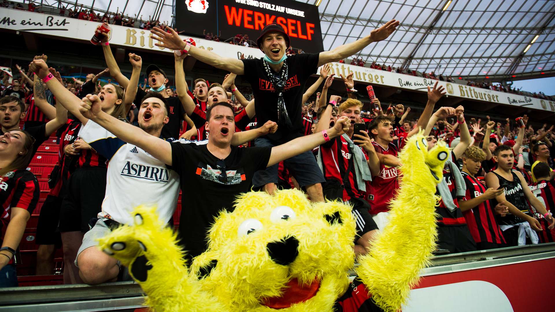 © Bayer 04 Leverkusen Fussball GmbH
