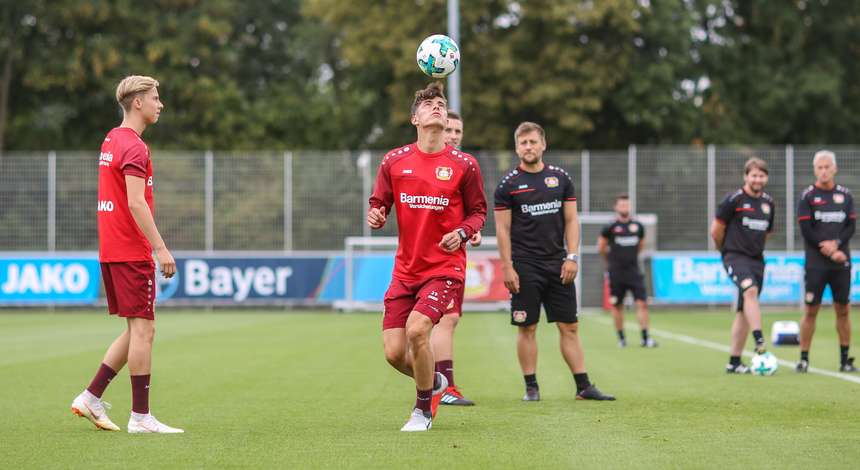 20180815_Training_Havertz.jpg