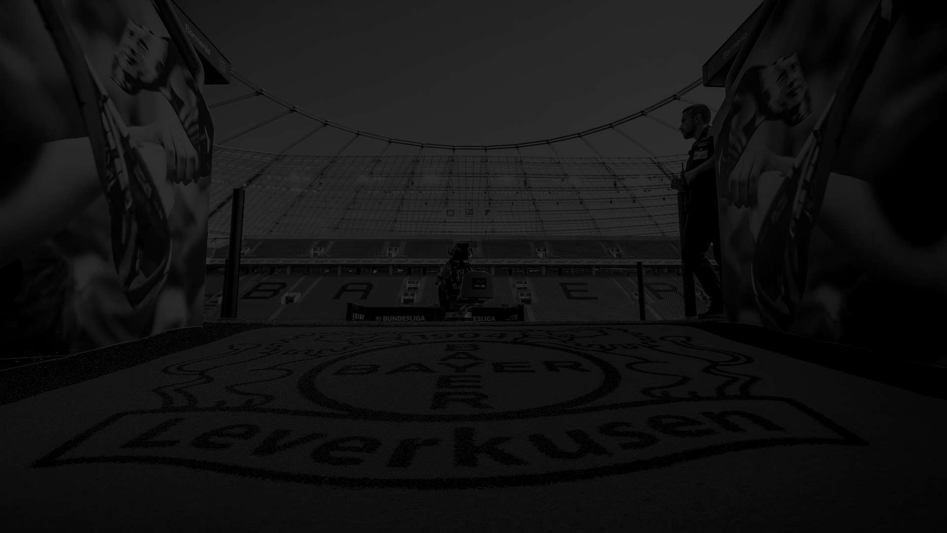 Newsletter abonnieren