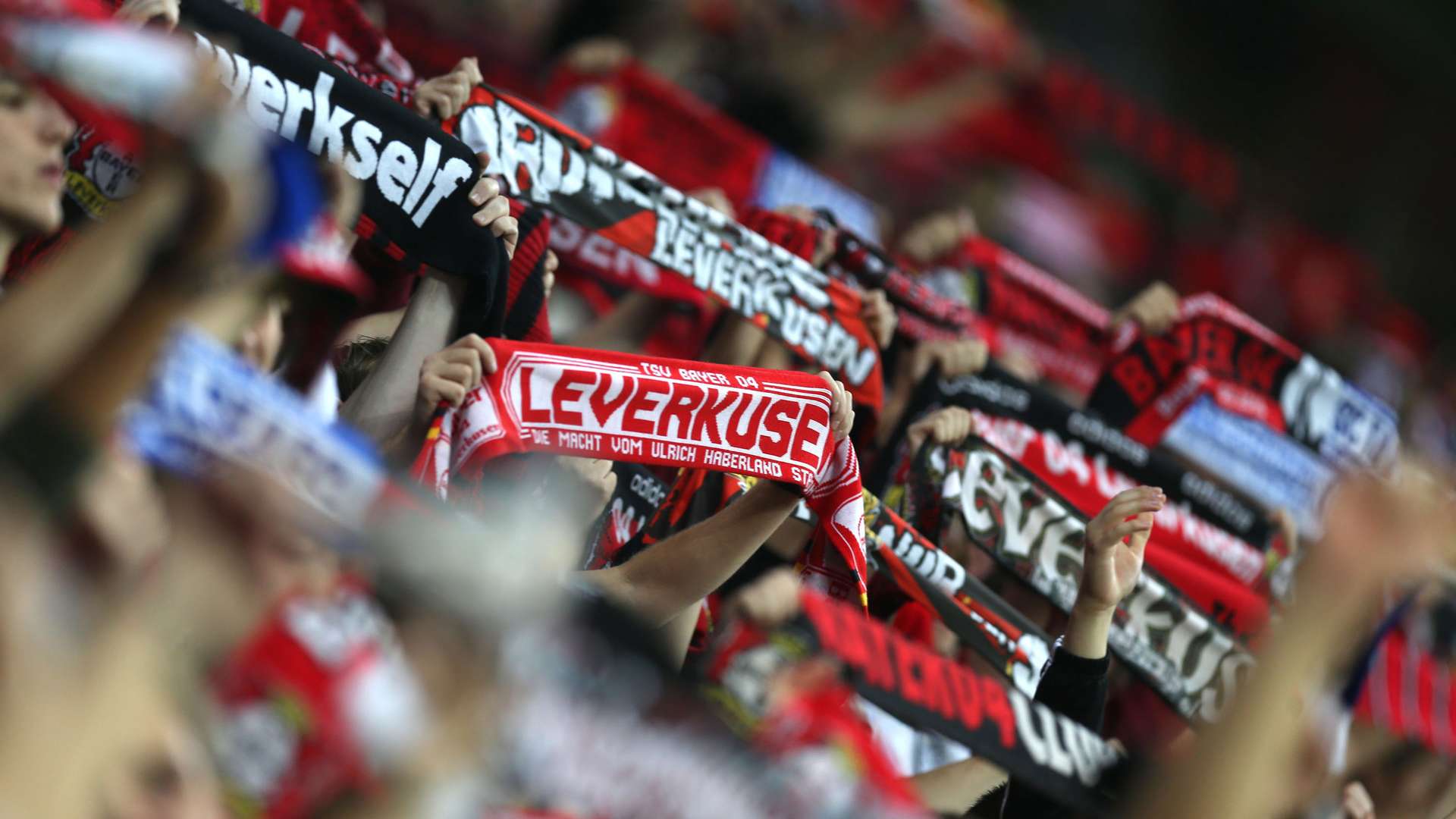 Bayer 04 Leverkusen Fans | Bayer 04