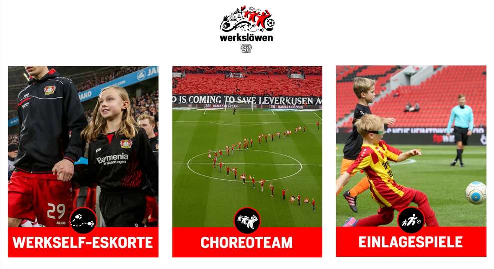 Reinhard Saftig Auch ohne Titel mit sich im Reinen Bayer04.de