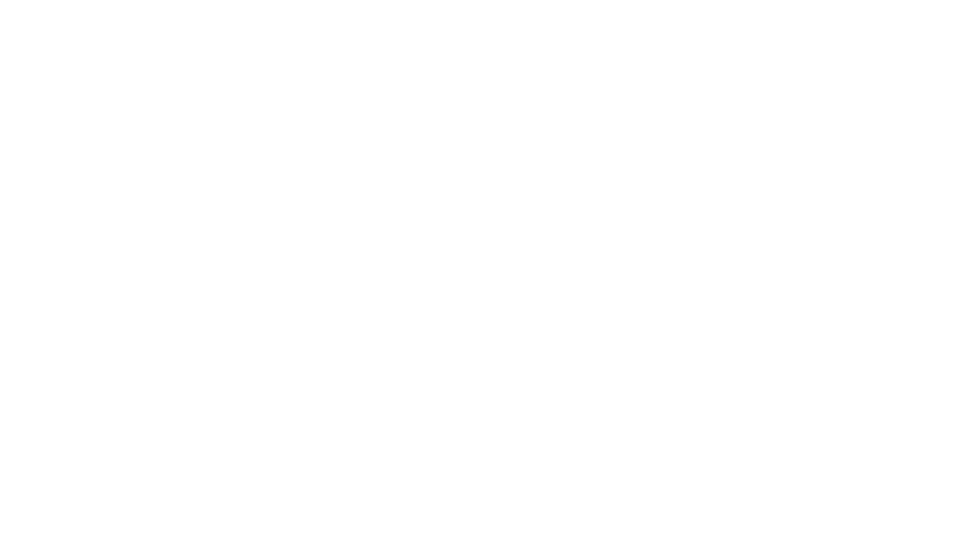 Bella_Handels_GmbH_Logo_white.png