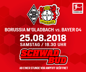 Bewerb_Schwadbud_HomepageMediumRectangle_300x250px_Borussia-M-Gladbach_1819.jpg