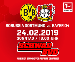 Bewerb_Schwadbud_HomepageMediumRectangle_300x250px_Dortmundvs.jpg