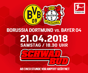 Bewerb_Schwadbud_HomepageMediumRectangle_300x250px_Dortmundvs.jpg