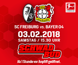Bewerb_Schwadbud_HomepageMediumRectangle_300x250px_Freiburgvs.jpg