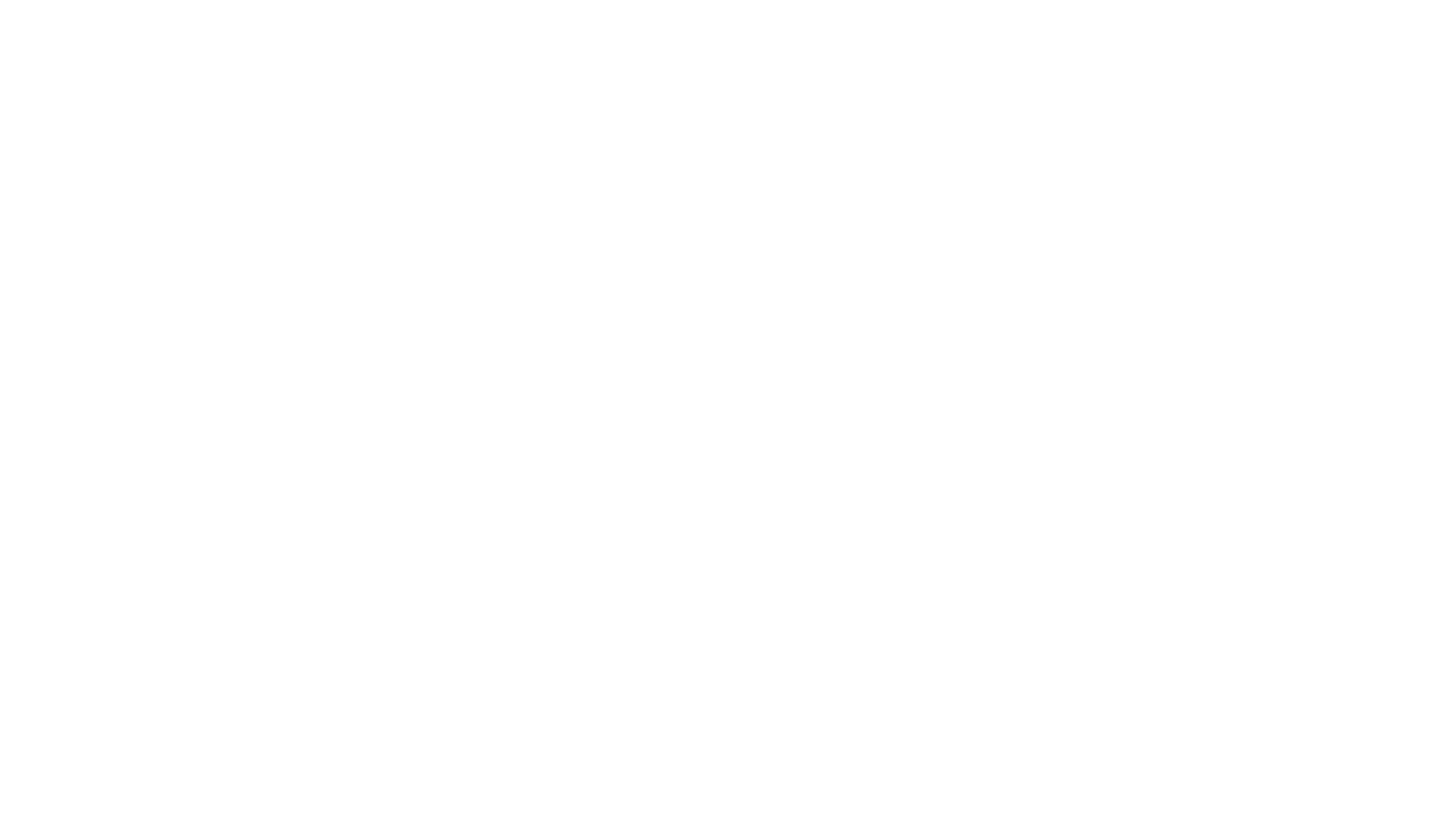 Denis_Beca_Flowpex_GmbH_Logo_white.png