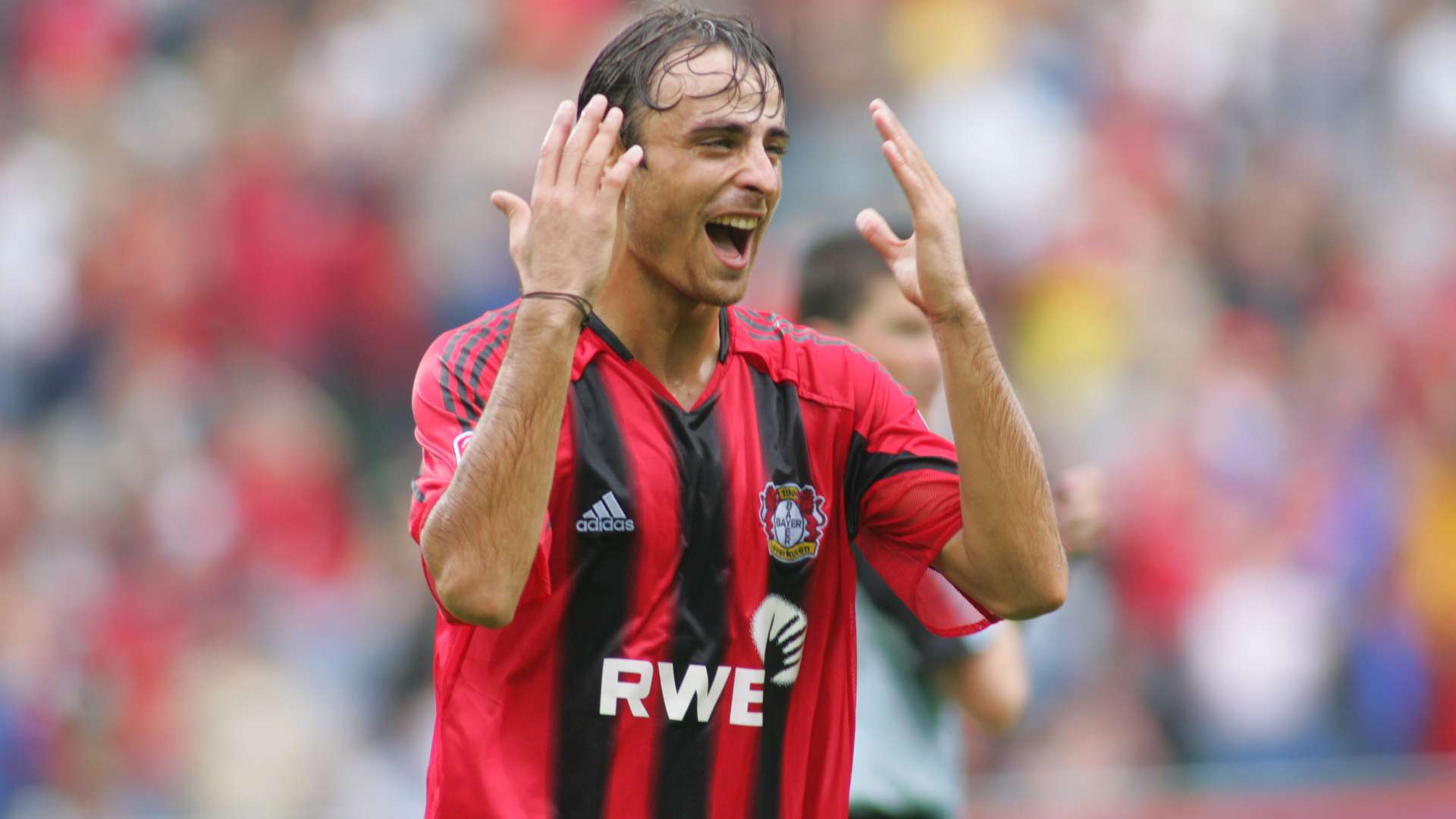 Dimitar_Berbatov.jpg
