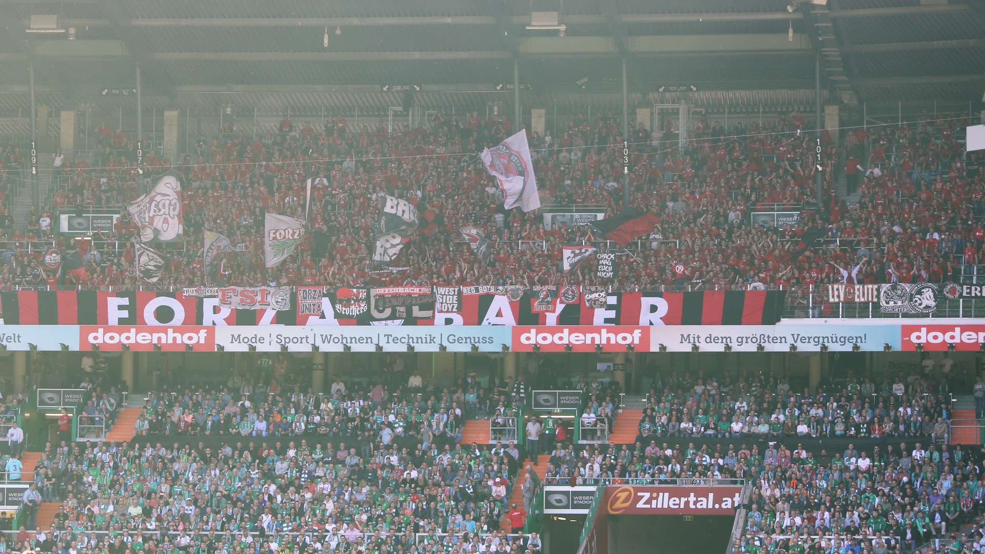 Fans_Bayer04.jpg