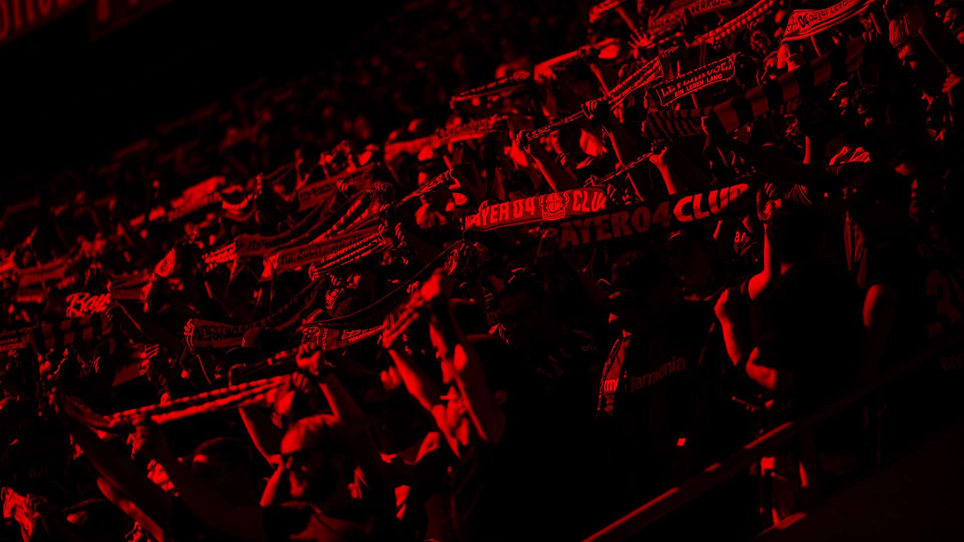 Fans Hintergrundbild