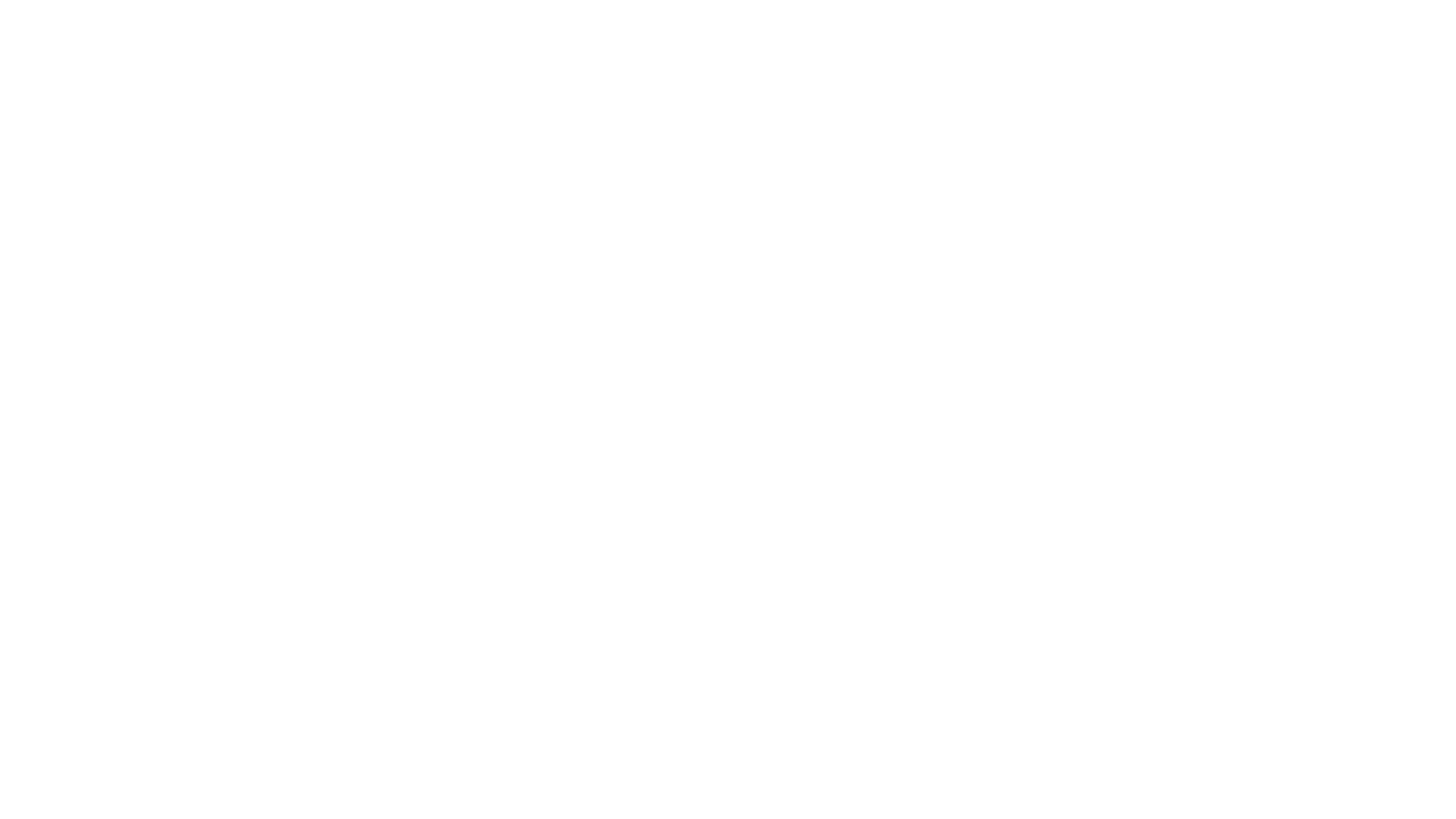Fielenbach_Foerdertechnik_Logo_white_1920px.png