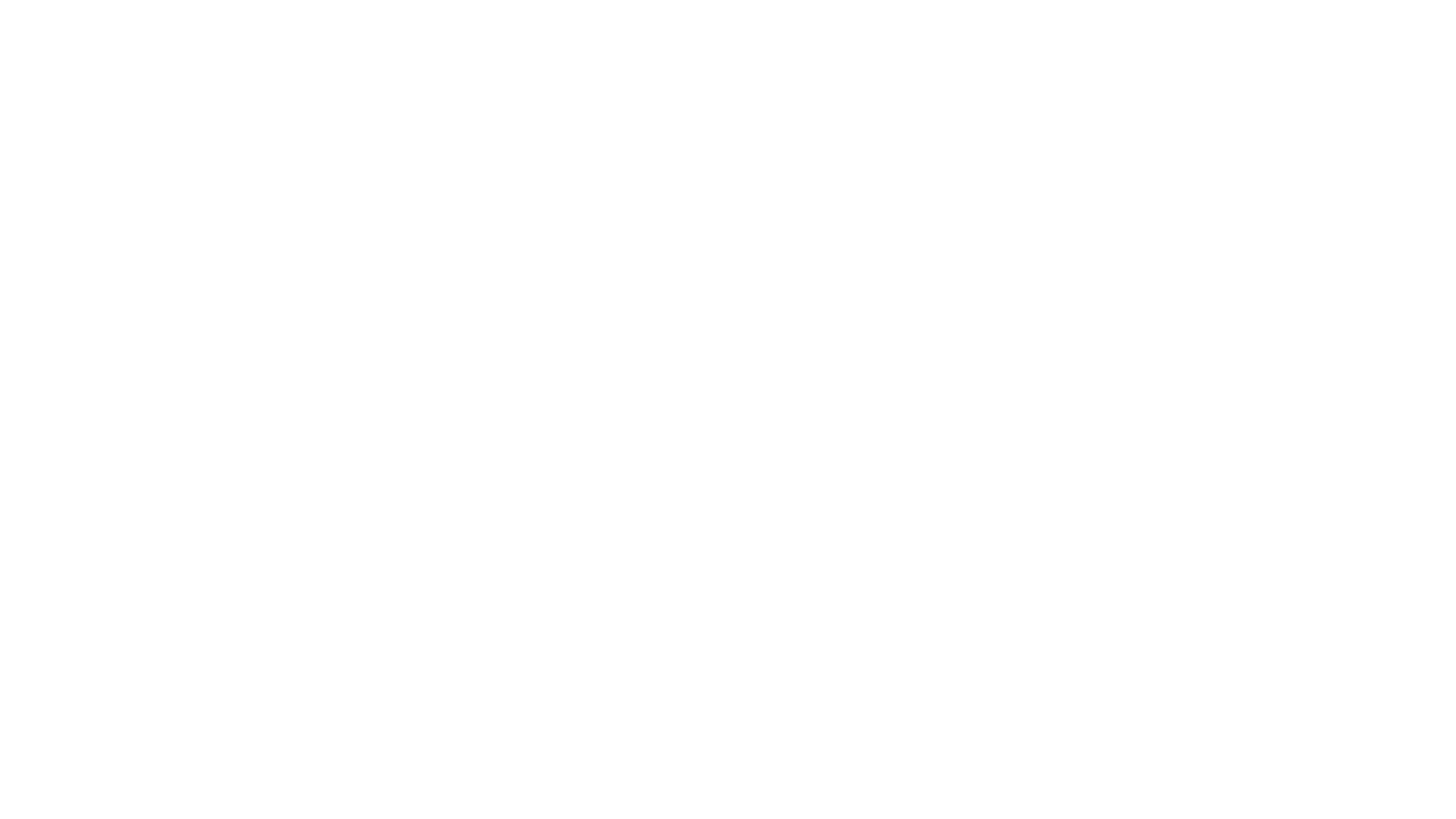 Haaner Logo