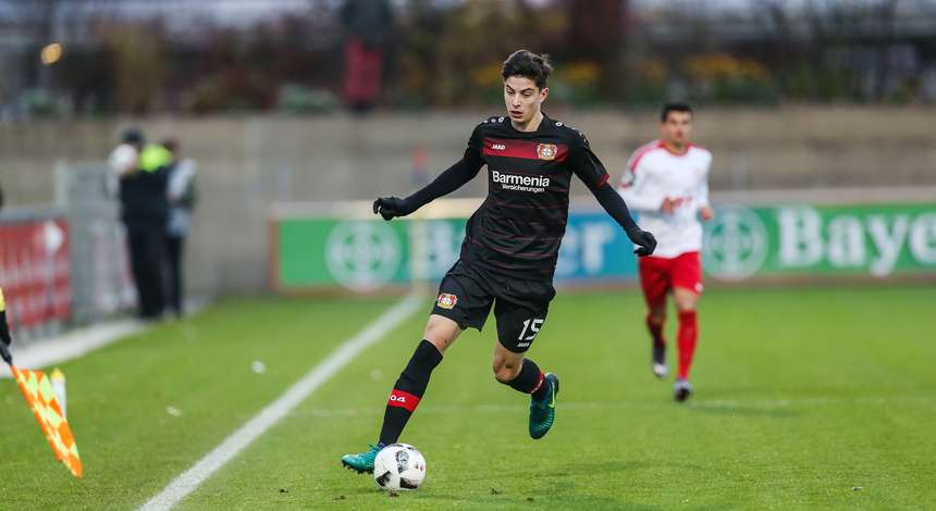 Havertz_20161108_0966.jpg