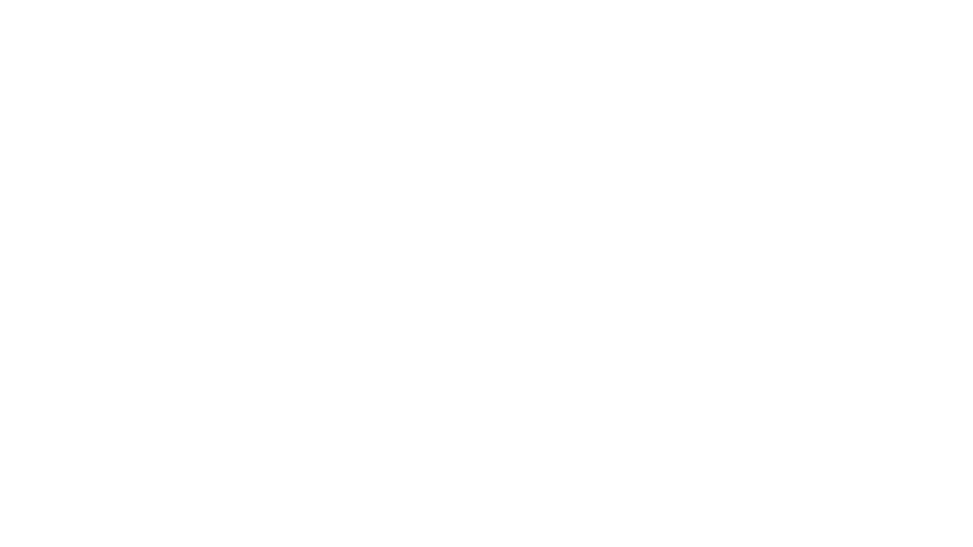 KarlNoss Logo
