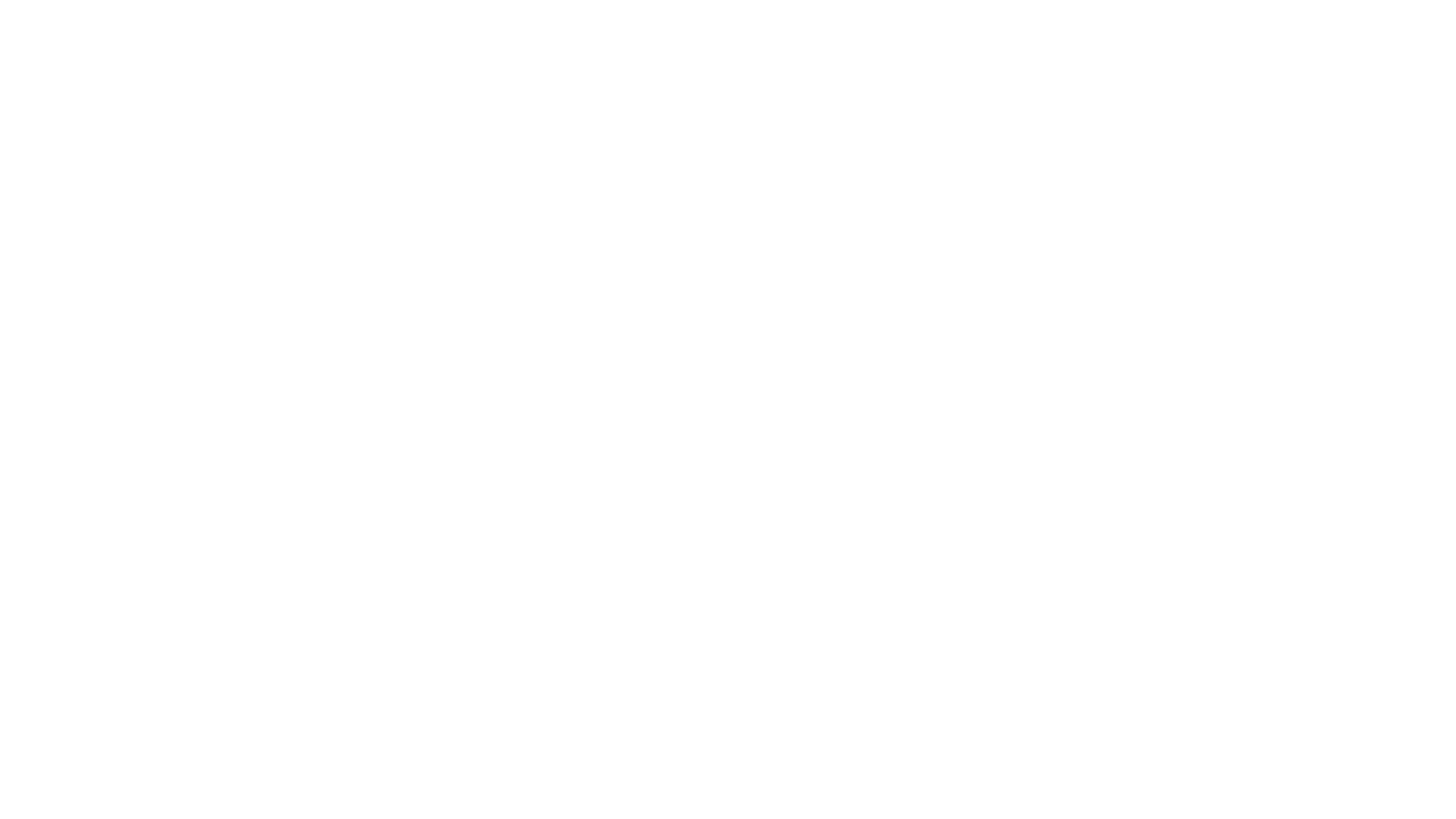 Langnese Logo