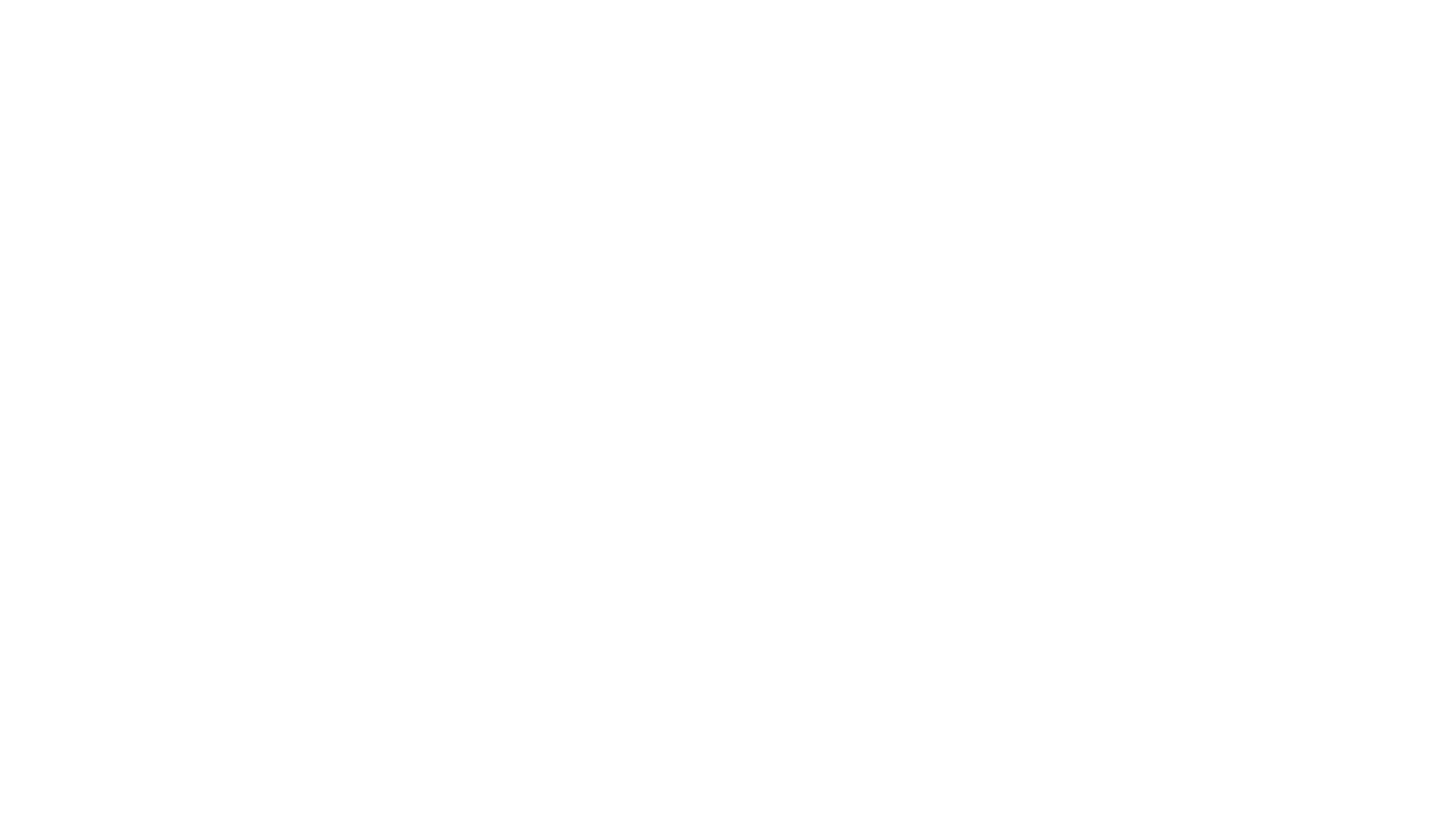 MCA_Trading_Gmb_CoKG_Logo_white.png