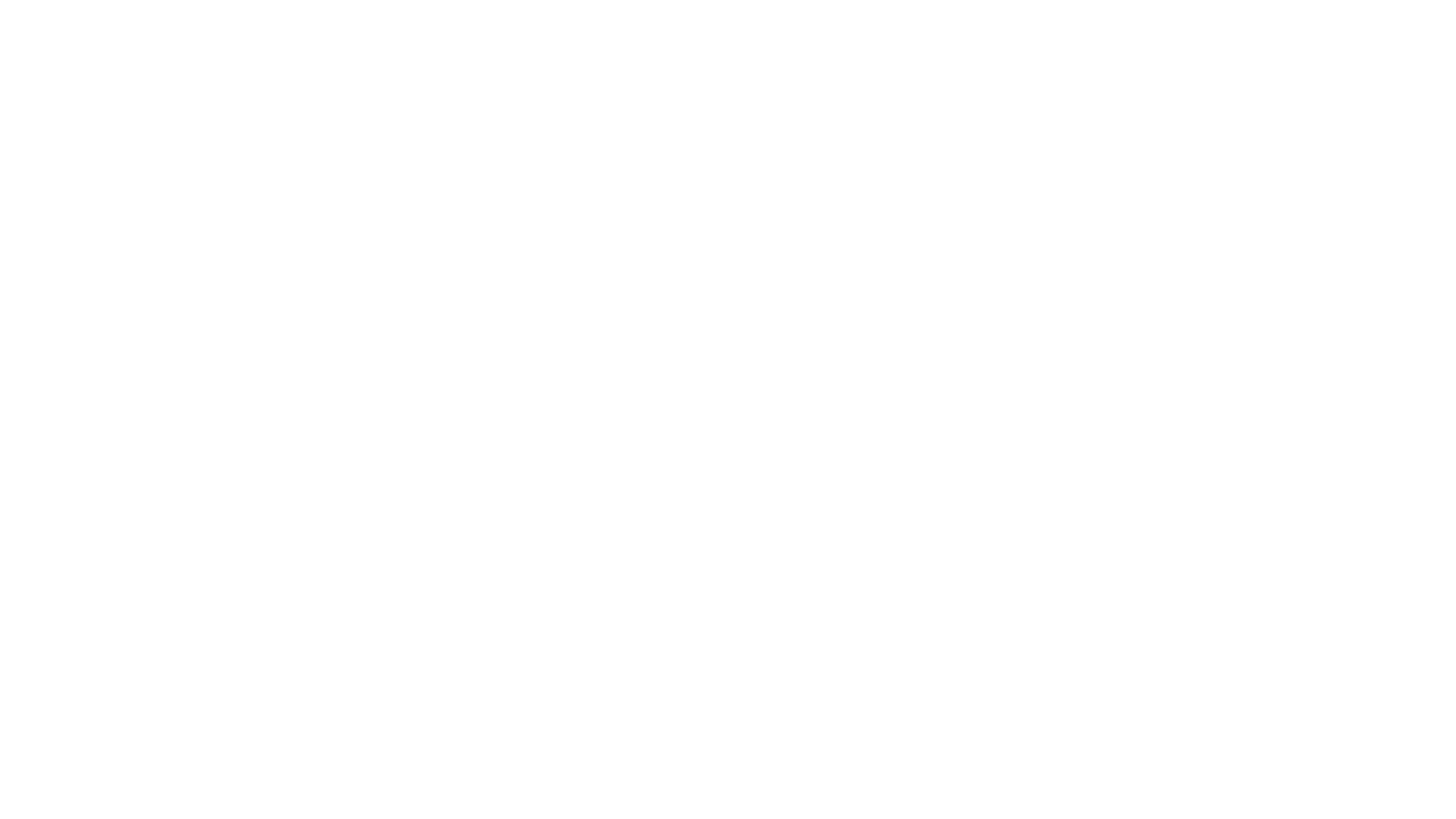 Mark_Wehner_Logistics_GmbH_CoKG_Logo_white.png