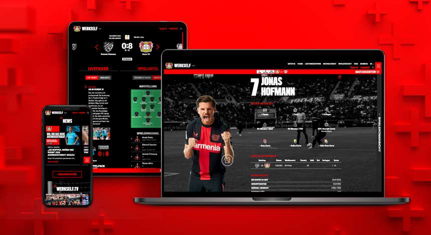 Mock-up Mediadaten Internet