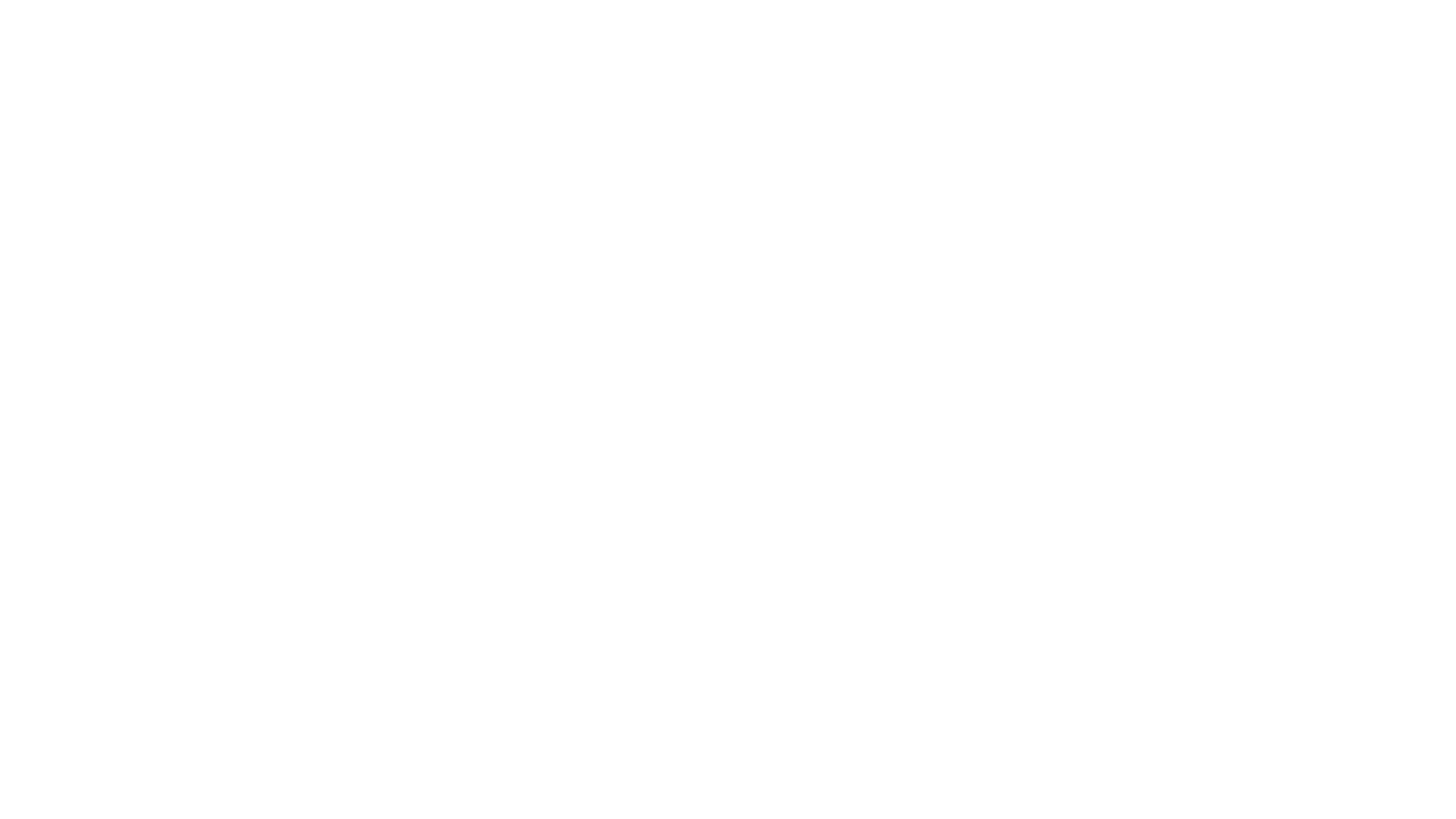 Porsche_Zentrum_Siegen_Logo_white_1920px.png