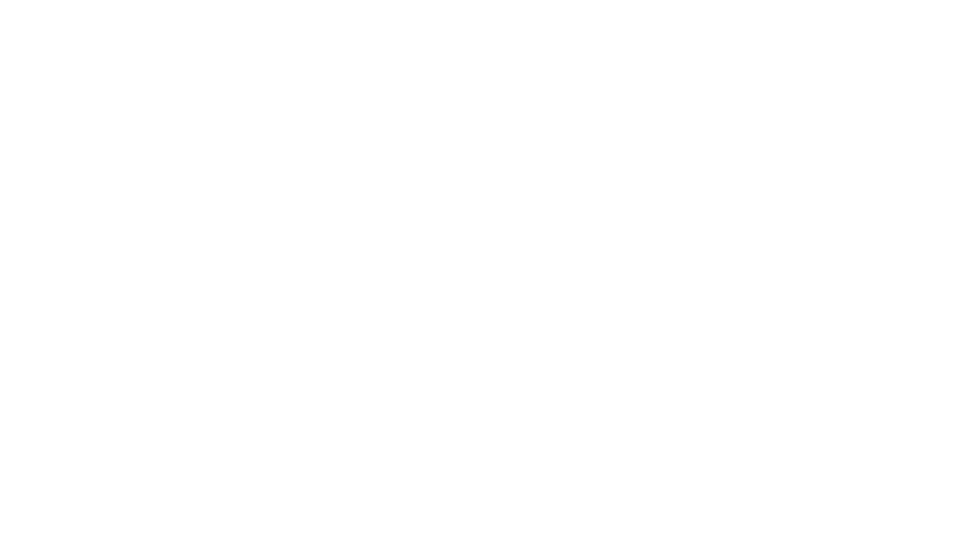 Staba-Schermuly_GmbH_CoKG_Logo_white.png
