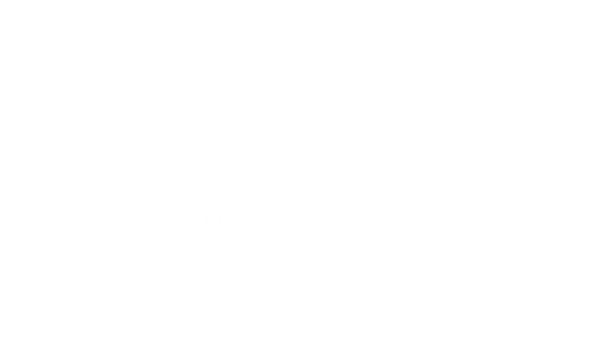Steuerberatersozietaet_Schneider_kind_Logo_white.png