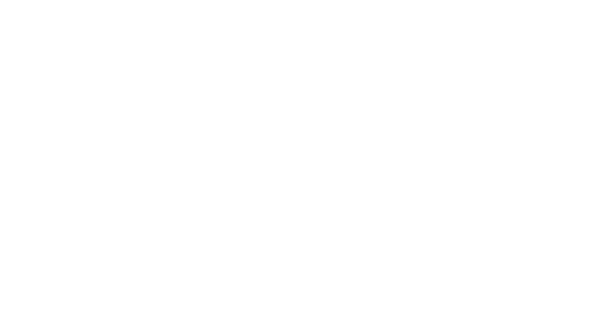 StuteDachtechnik Logo