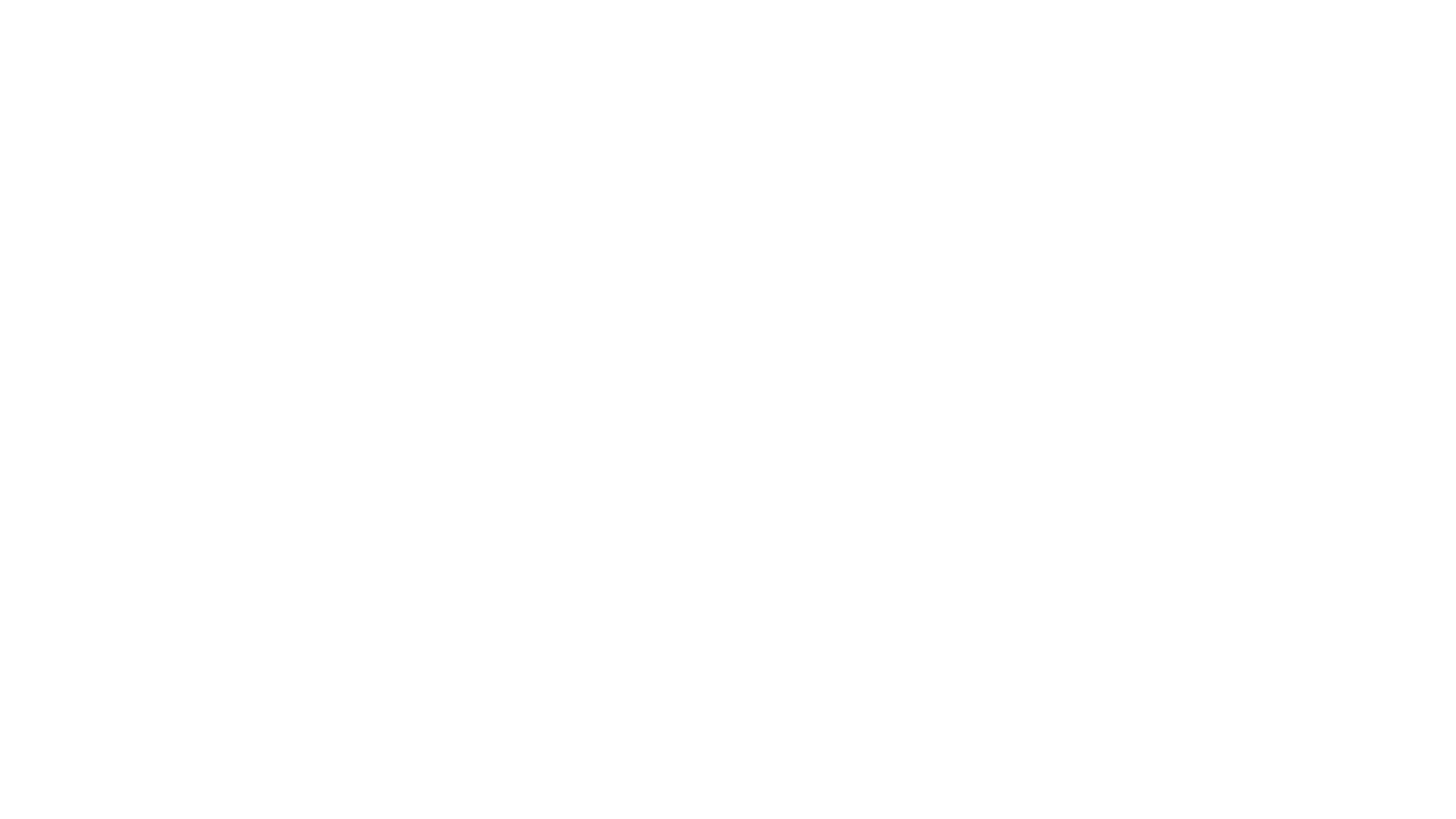 Systemhaus_Erdmann_GmbH_Co_KG_Logo_white.png