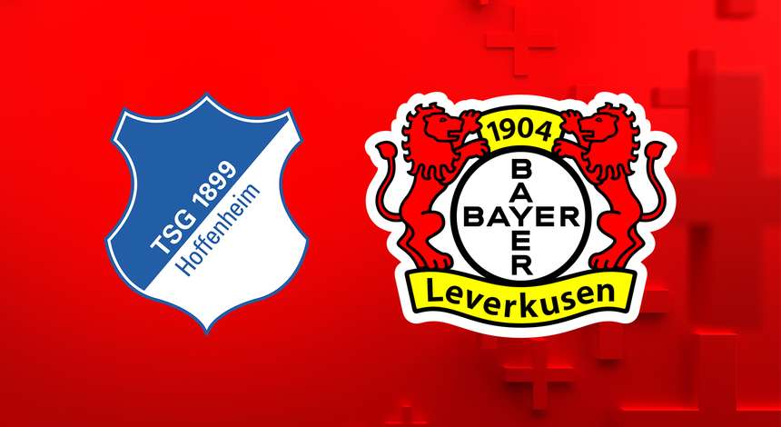 TSG1899_Hoffenheim_Bayer04_Hintergrund_2324.jpg