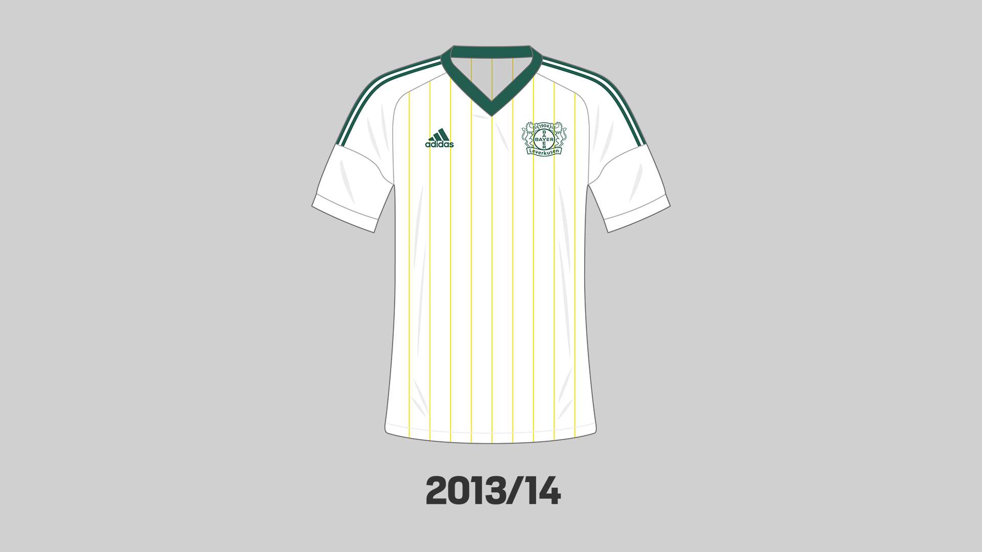 Trikot 2013/14
