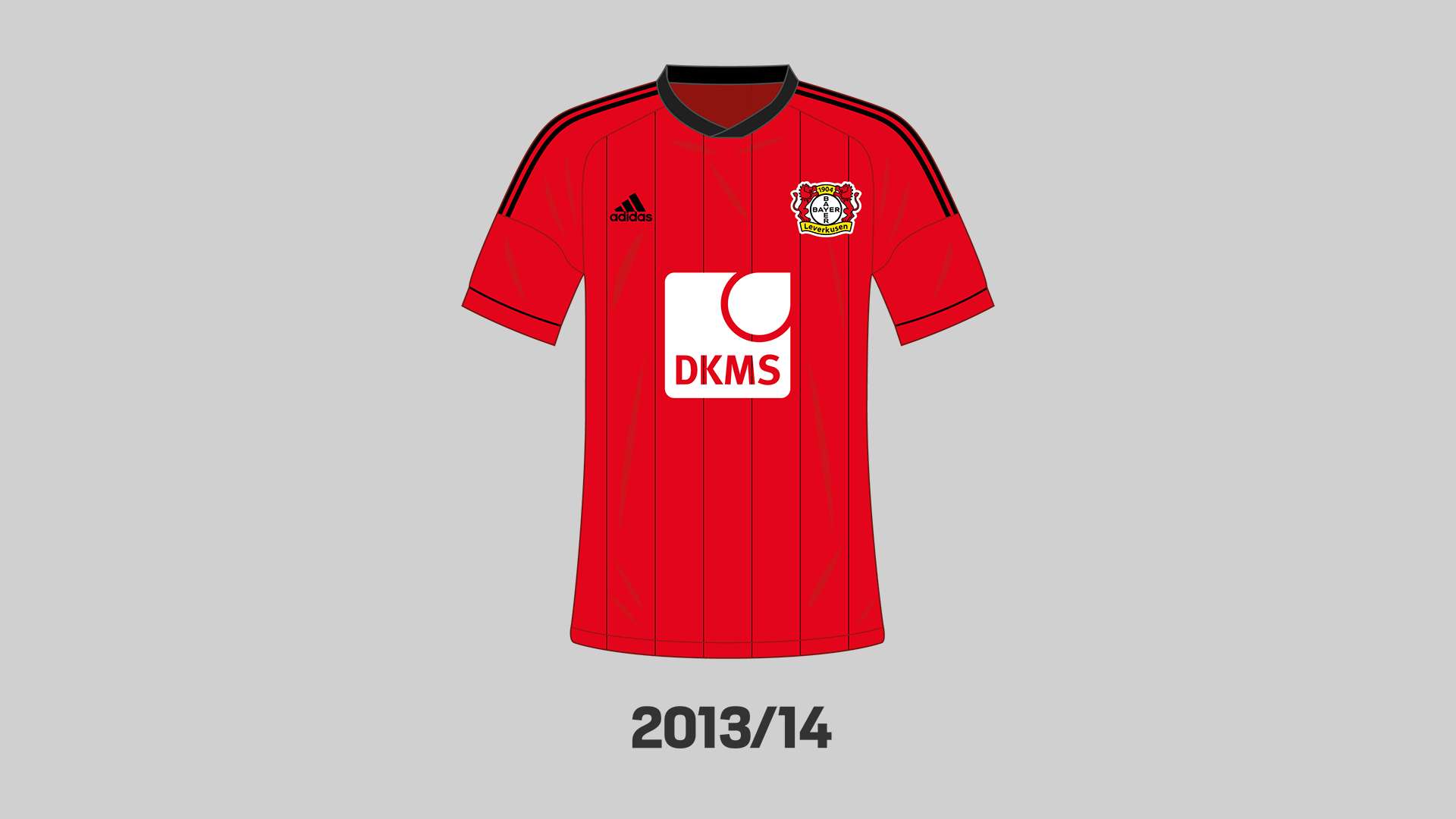 Trikot 2013/14