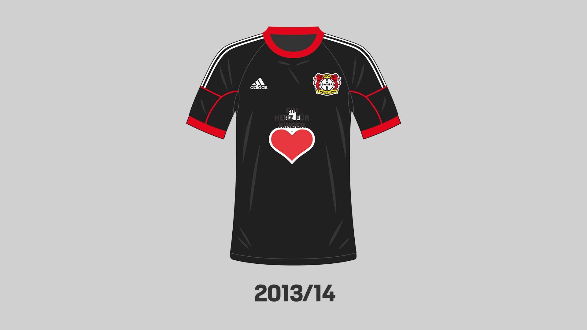 Trikot 2013/14