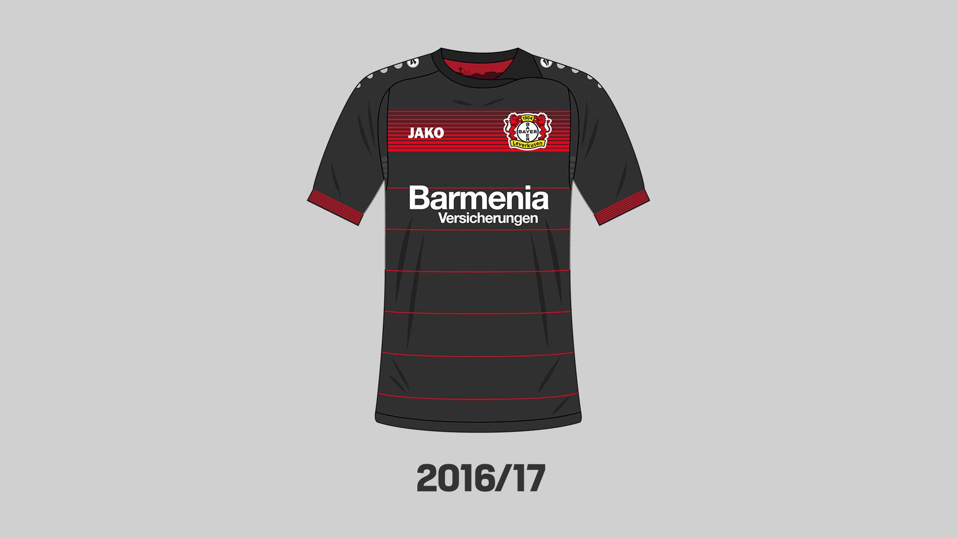 Trikot 2016/17