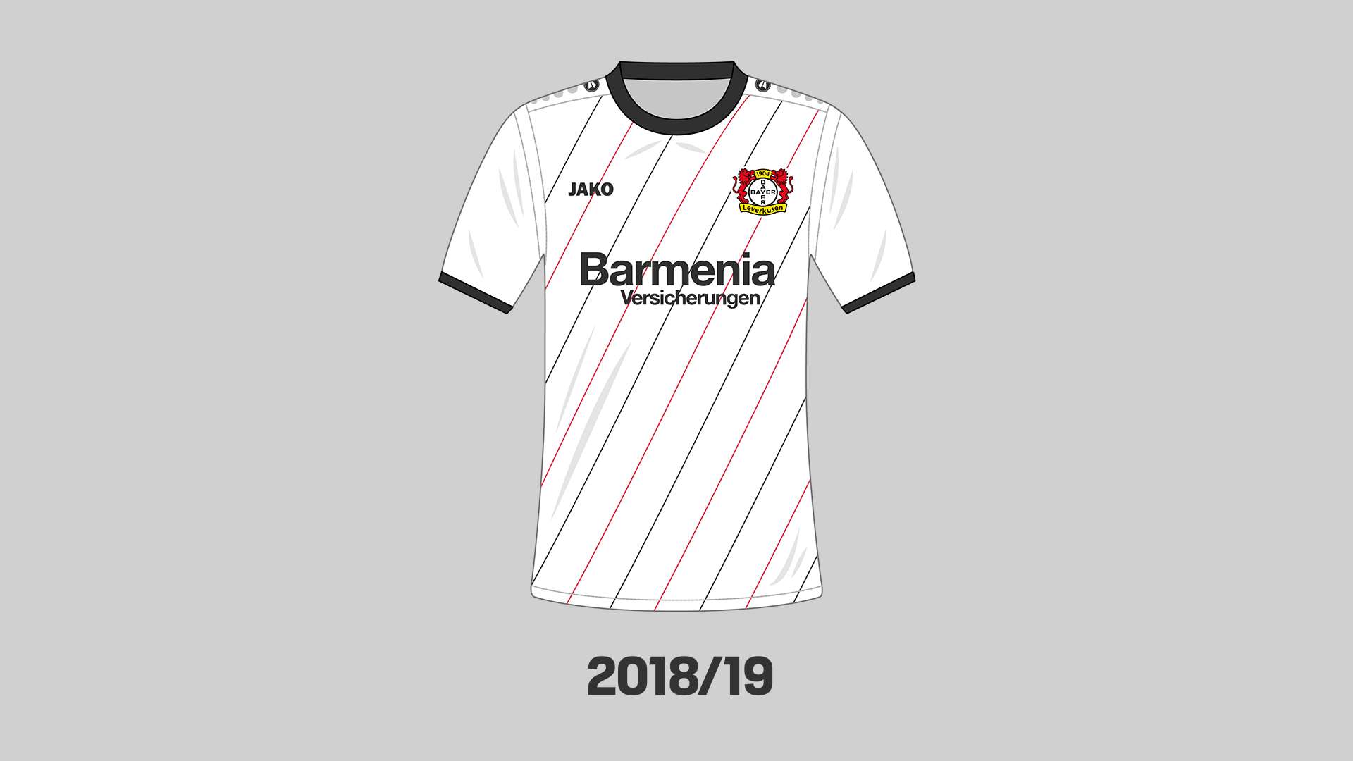 Trikot 2018/19