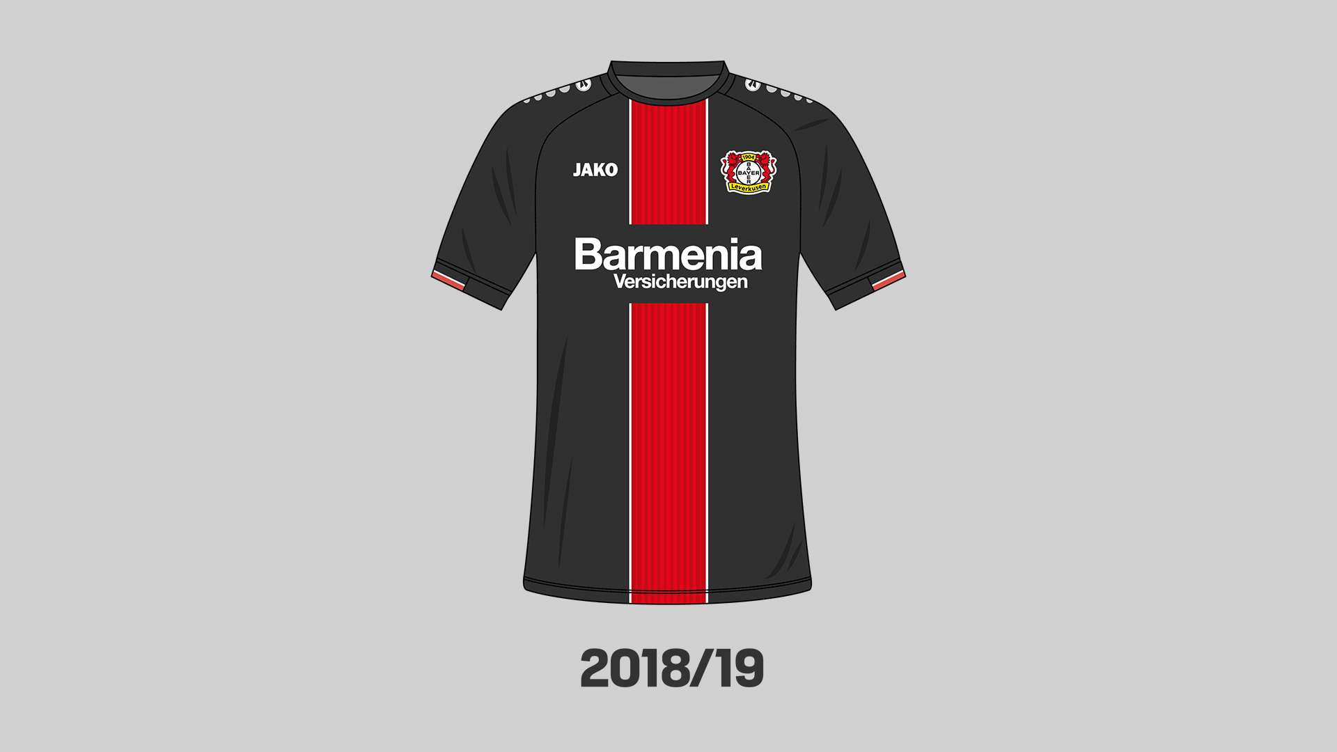 Trikot 2018/19