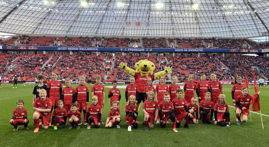 Löwenclub am Spieltag