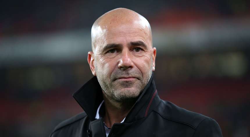 bosz.jpg