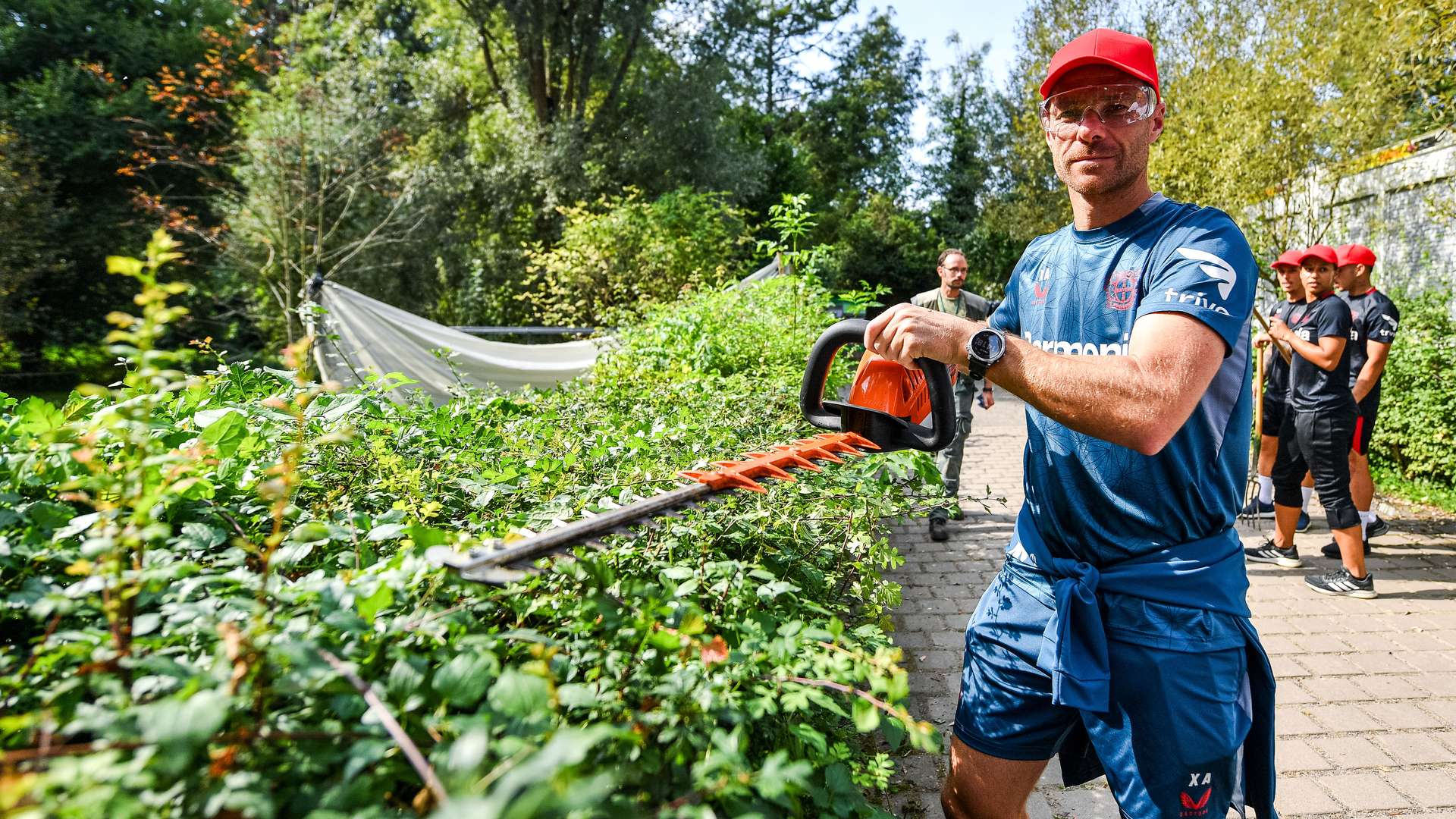 Alonso beim Hecke stutzen