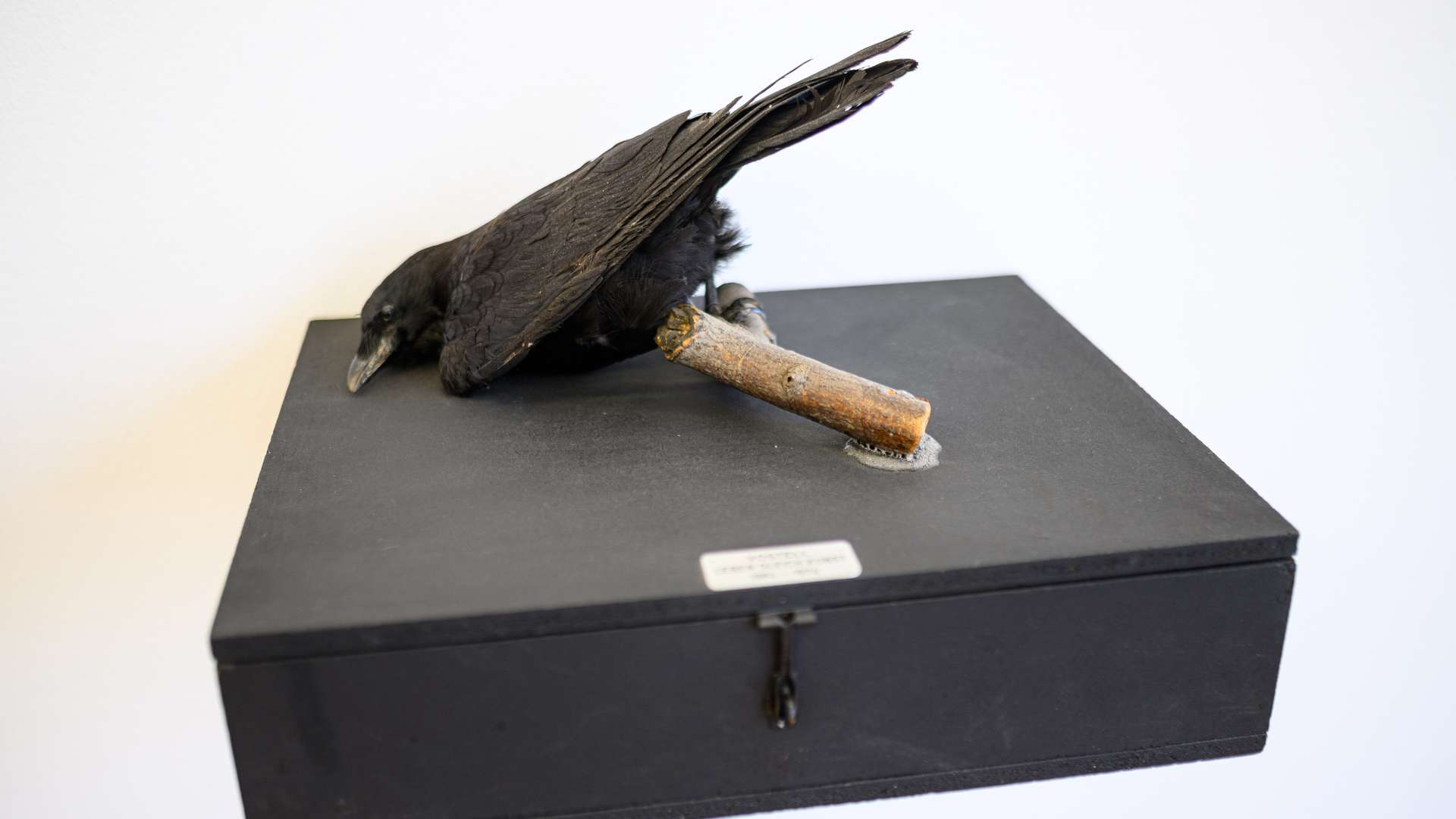 Ausstellung im Museum Morsbroich