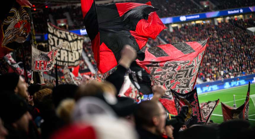Fans in der BayArena